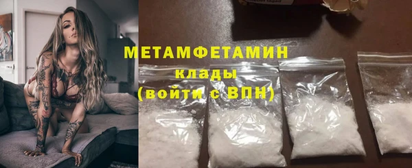 трава Осинники