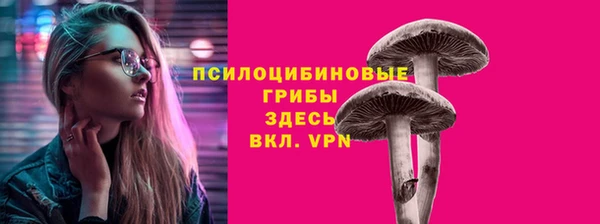 метамфетамин Бутурлиновка